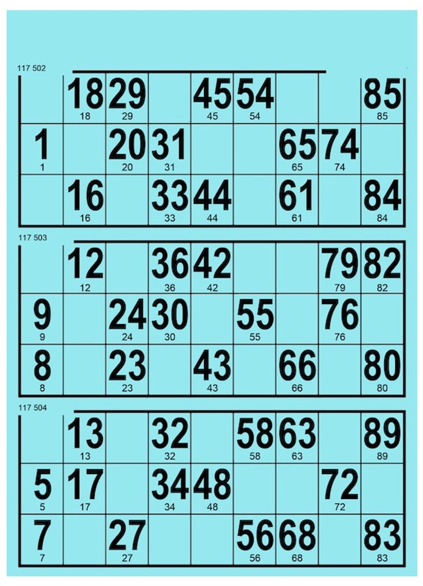 Bingokaarten 1-90 Karton | 50 stuks | 3 Ticket per kaart | Blauw | Groot formaat